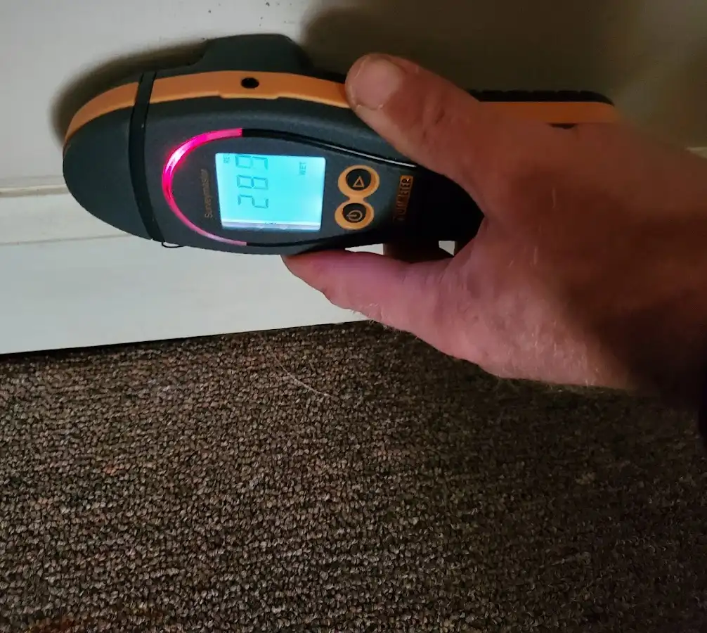 Moisture detection at baseboard during Mold Inspection & Testing in Childress